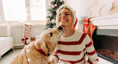 куче човек обич