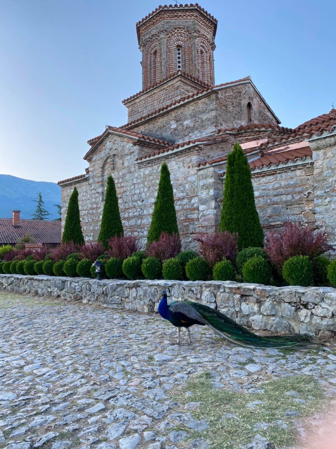 чудеса и вяра