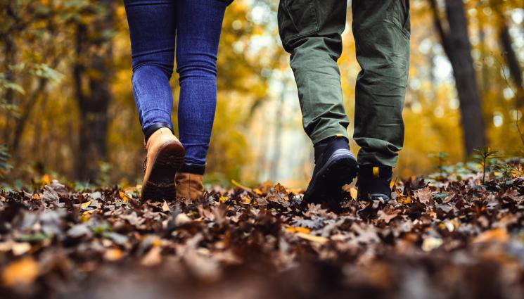 разходка - ХАЙДЕ НА РАЗХОДКА: Ходенето облекчава депресията