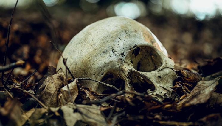 череп - ИСТОРИЧЕСКО ЗВЕРСТВО: Откриха масов гроб със 100 000 тела! (ВИДЕО)