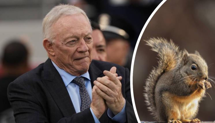 Джери Джоунс - Футболен бос хапвал катерици