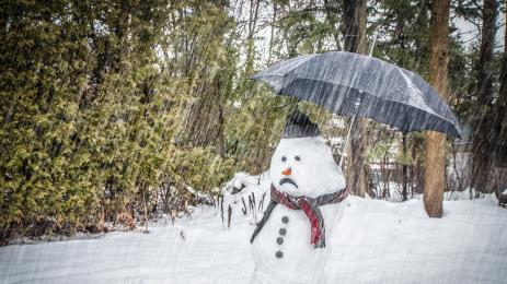 снежен човек