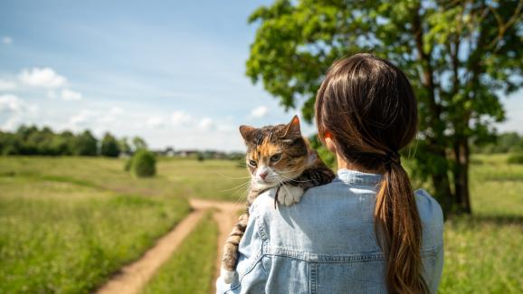 Сходства между котките и хората: 7 неочаквани прилики, които ще ви изненадат