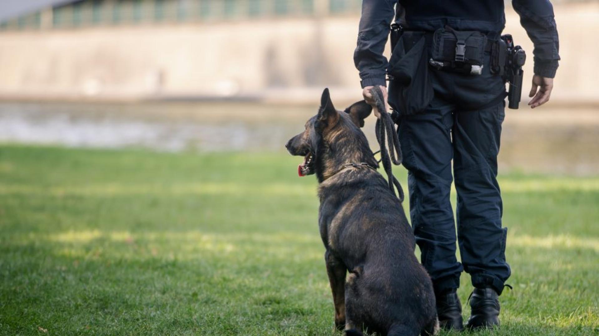 Полицията в Перник и спасители от Аварийно спасителния отряд издирват мъж