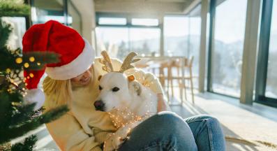 куче Коледа
