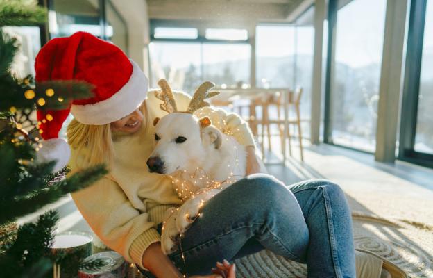 куче Коледа