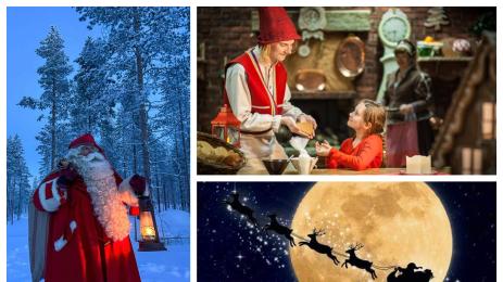 коледа шейна