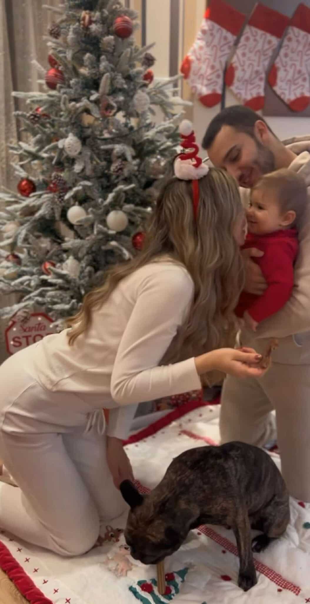 звезди Коледа