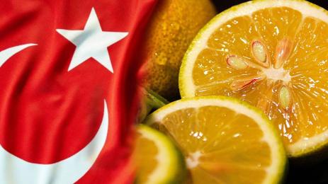 лимони турция