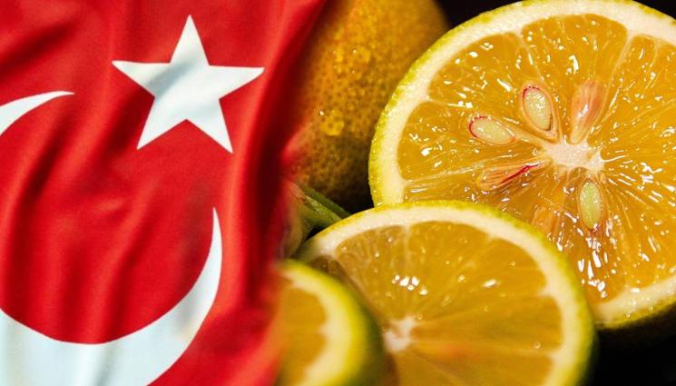 лимони турция - АЛАРМА: Върнаха на Турция отровни лимони!