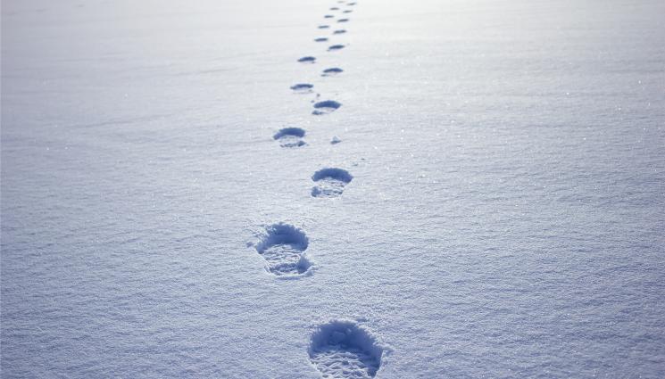 сняг прогноза