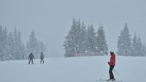 Сняг Пампорово