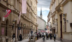 Българка е арестувана в сърцето на Виена, издирвана за десетки престъпления в Германия