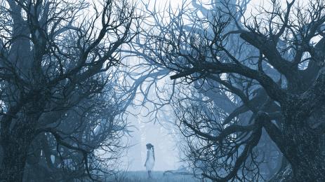 изгубено момиче гора