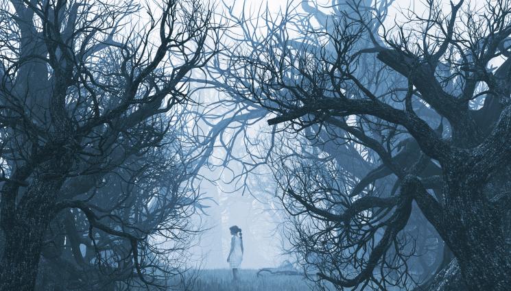 изгубено момиче гора - ДА ТИ НАСТРЪХНАТ КОСИТЕ: Три момиченца се изгубиха в гората!