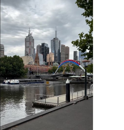 владо пенев