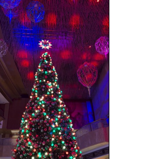 владо пенев