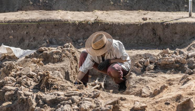 археолог археология - ЛЮБОПИТНА НАХОДКА: Откриха най-малката котка в света