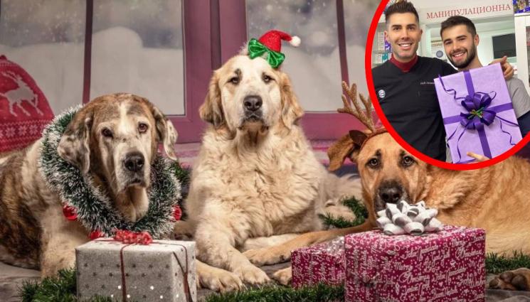 сд - Как да предпазим любимците от зарята!