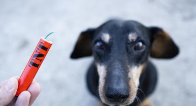 куче фойерверки