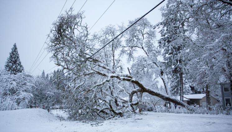 d - КРИТИЧНО ПОЛОЖЕНИЕ В ЛОВЕШКО: Пето денонощие хората оцеляват без ток