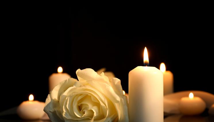 свещ - IN MEMORIAM: Отлетя от нас любима звезда от култов филм за малки и големи! (СНИМКИ)