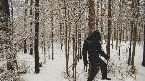 Голямата стъпка Саскуоч