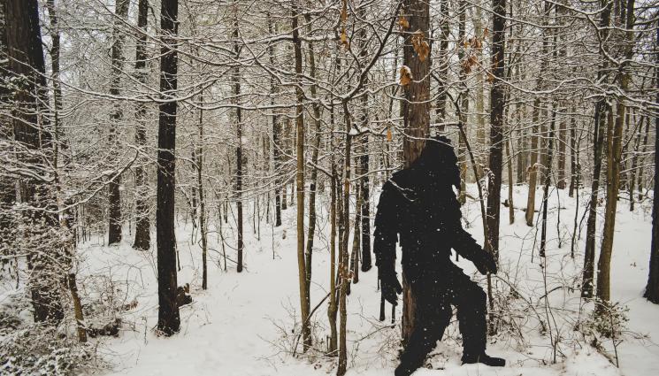 Голямата стъпка Саскуоч - Търсачи на Голямата стъпка бяха намерени мъртви! (СНИМКИ)