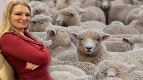Лозана Василева овце