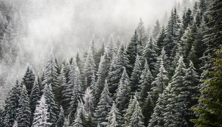 гора зима - Първите дни на януари идват с хубаво време, но после...