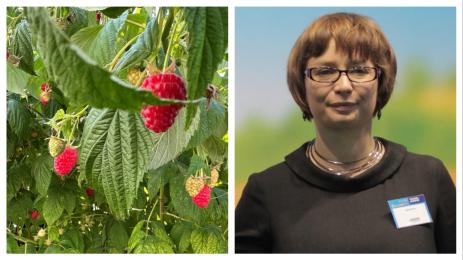 агро телеграф