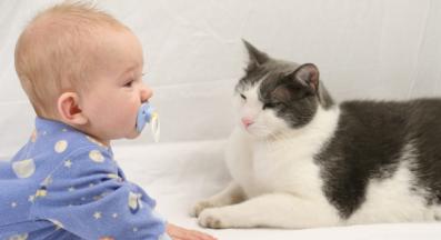 котка и бебе