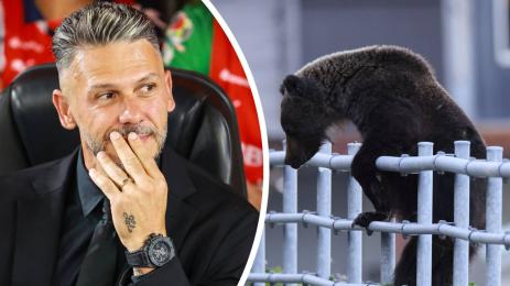 Мартин Демикелис