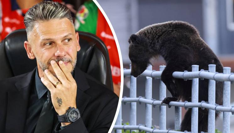 Мартин Демикелис - Мечка нахлу в дома на треньор