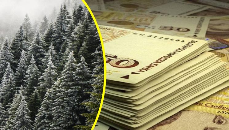 пари гора - ГРАБНАХА СОПИТЕ: Манастир си иска парите!