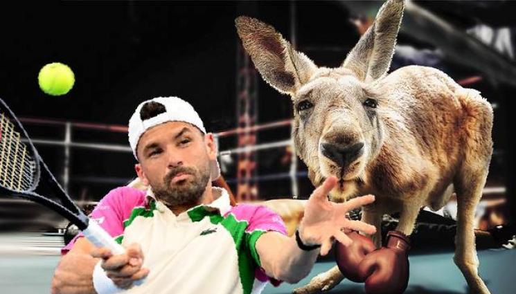 Григор - Григор натупа и отказа кенгуру в Бризбейн!