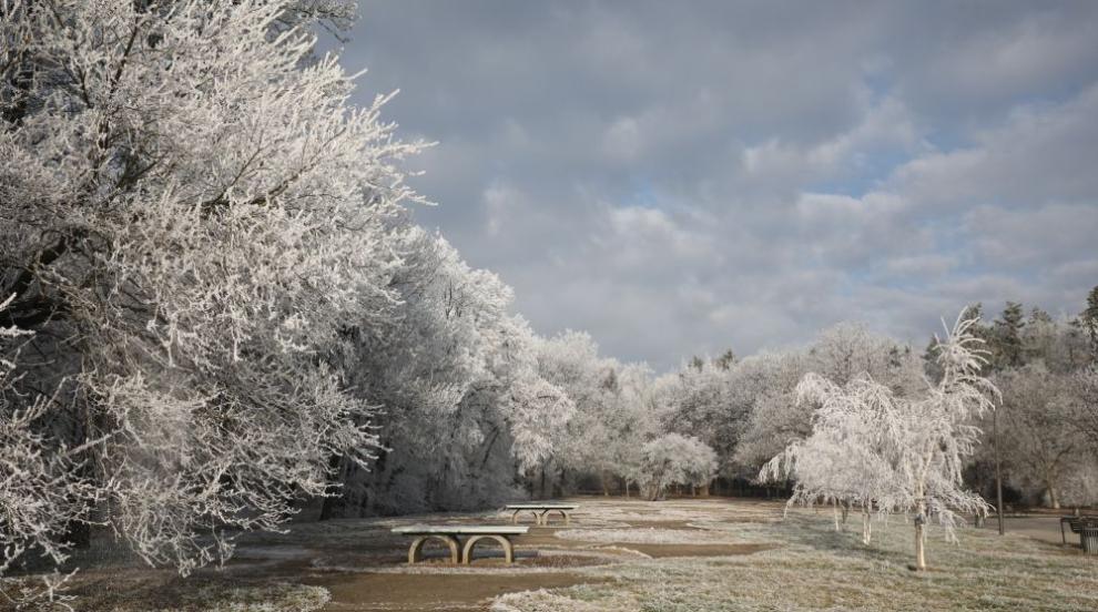 Софийски парк се превърна в истинска зимна приказка (СНИМКИ)