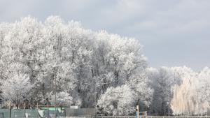 зима северен парк софия