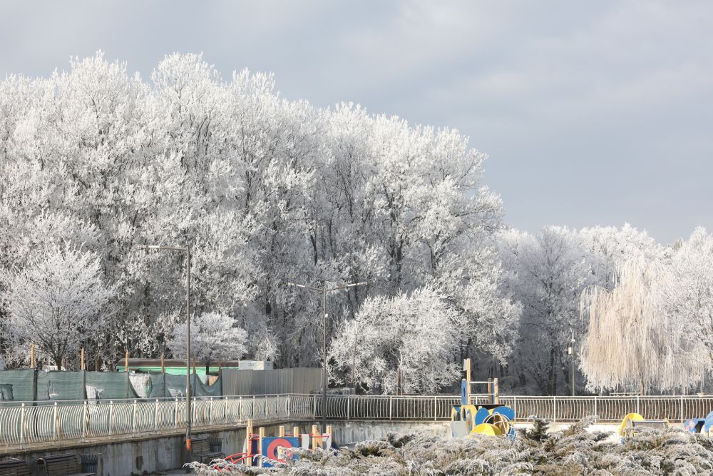 зима северен парк софия