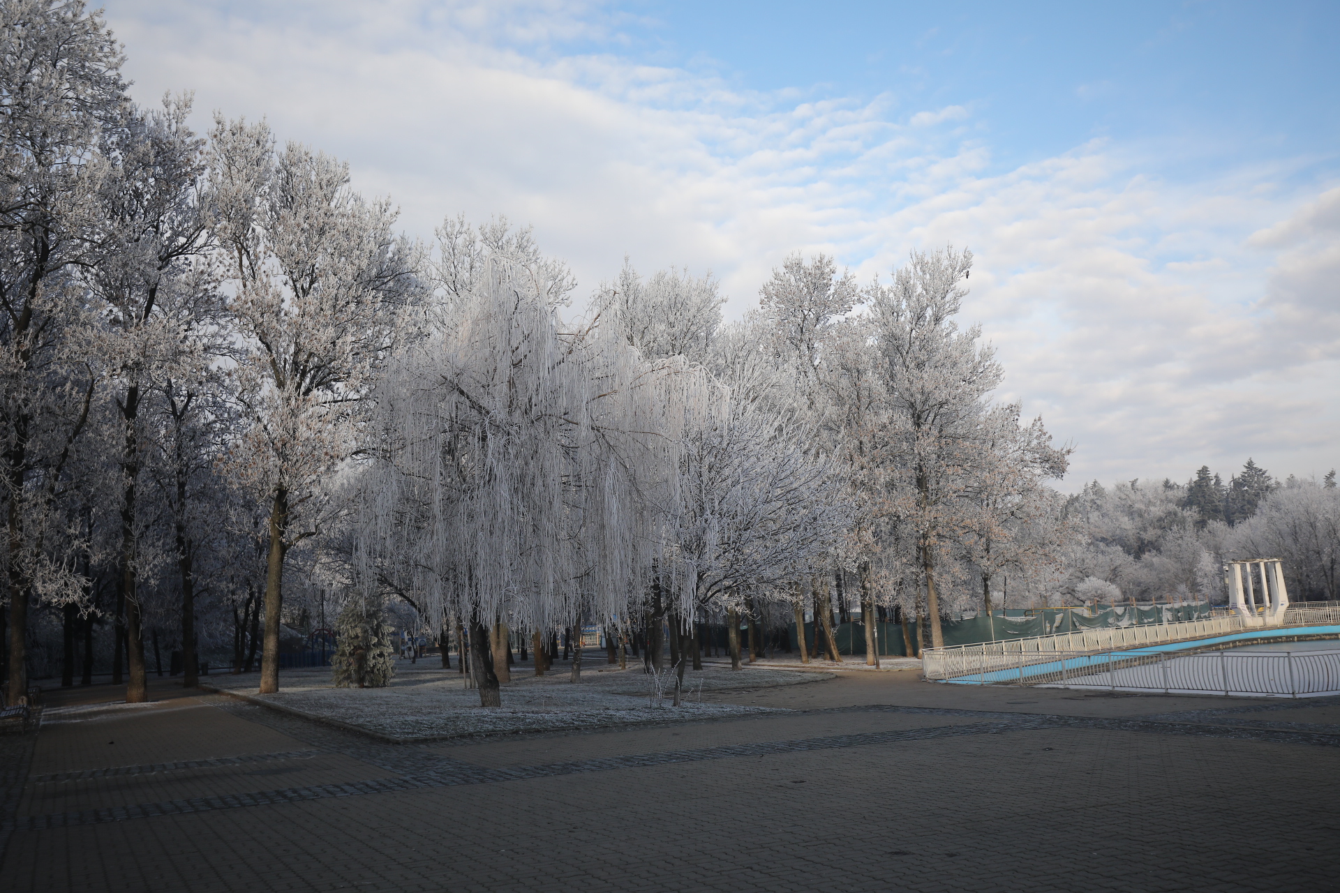 зима северен парк софия