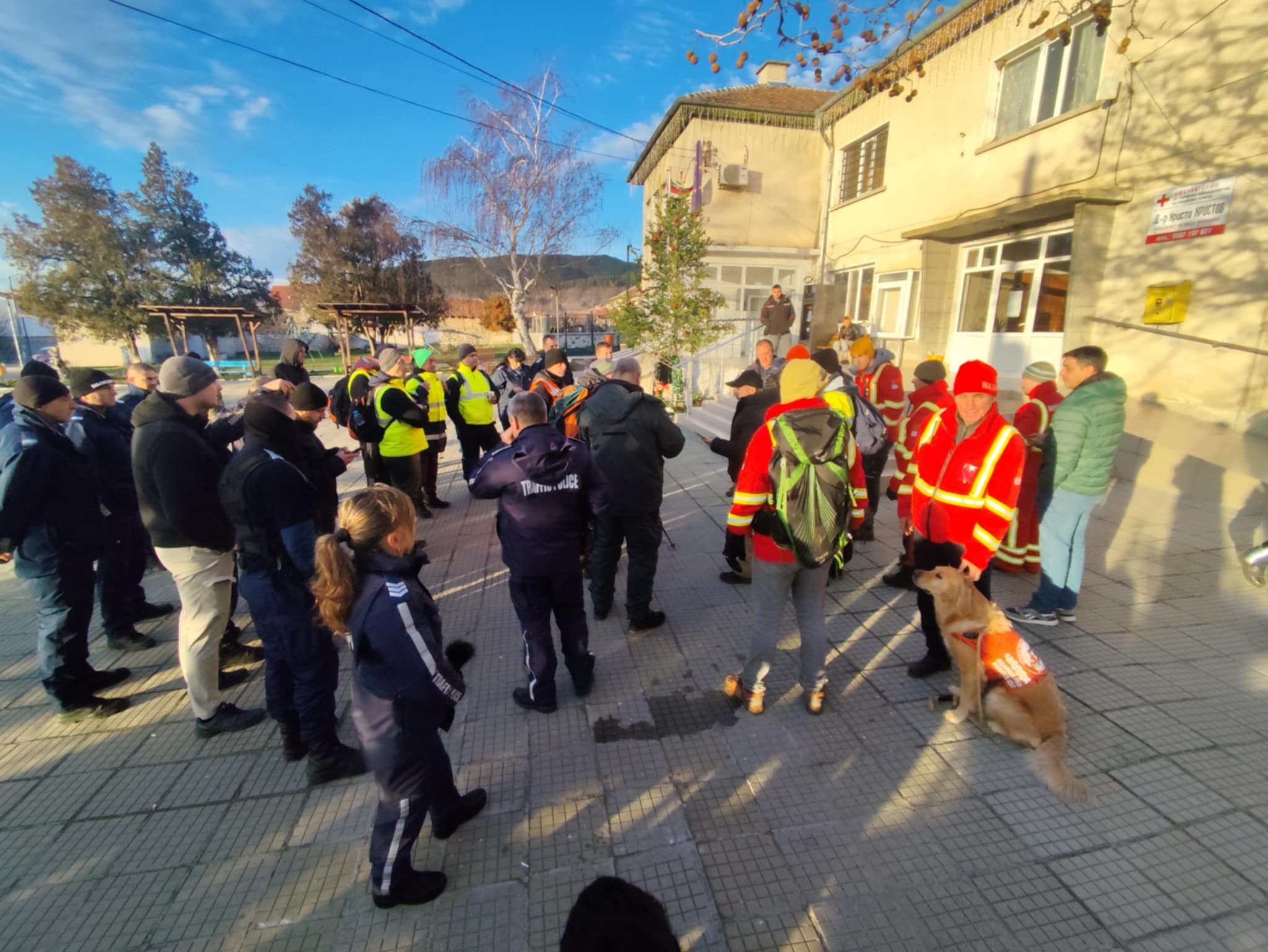 куче ца Ники