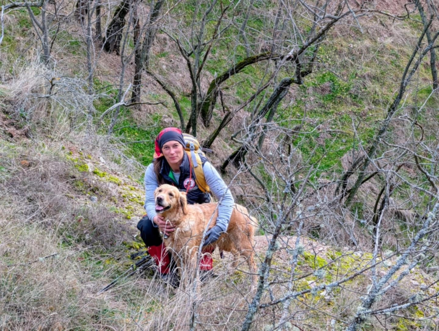 куче за Ники