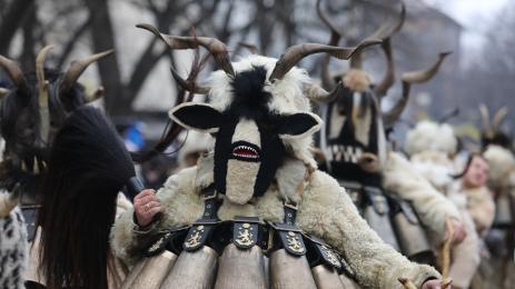 сурвакари сурва