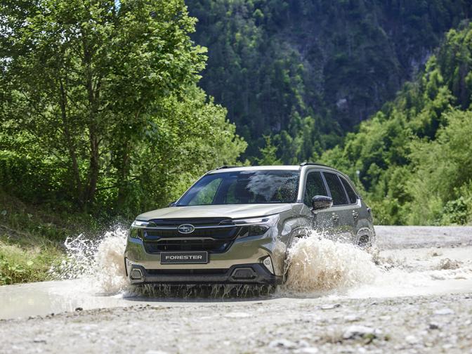 Subaru Forester галерия