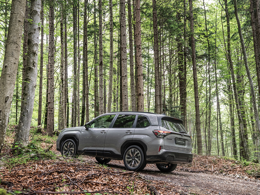 Новият Forester солиден, способен и донякъде скучен, но това го казвам във възможно най-добрия смисъл на думата, обяснявам. Освен това първите ще могат да се възползват и от много „дебела“ ценова отстъпка