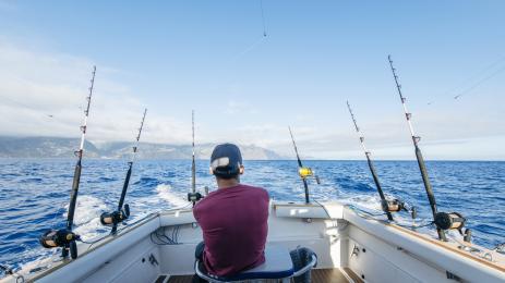 рибар риболов тон риба