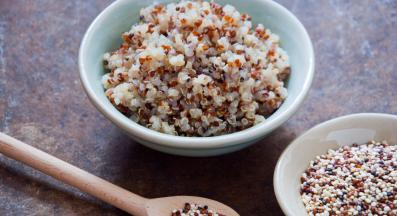 домашна котка