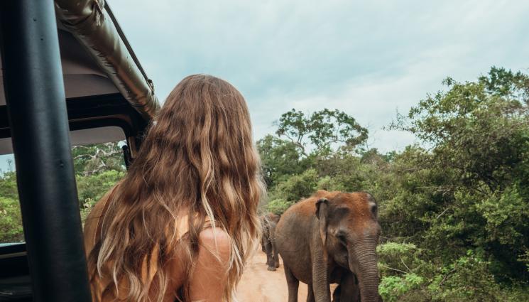 слон Тайланд - ФАТАЛНА ВАКАНЦИЯ: Слон прегази турист!