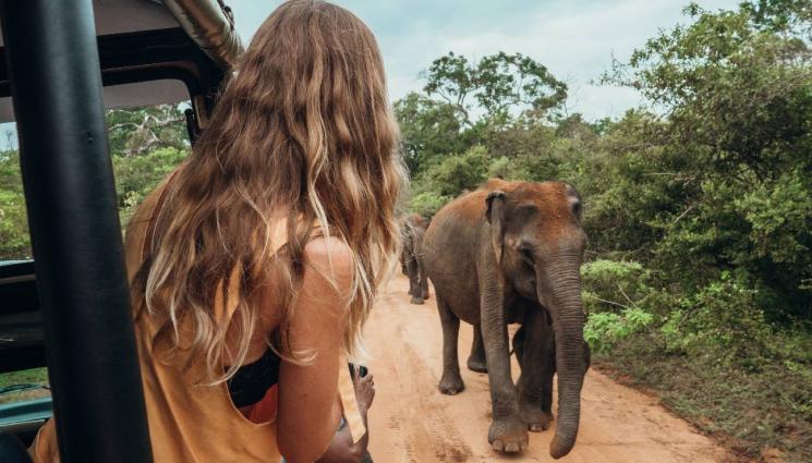 d - ФАТАЛНА ВАКАНЦИЯ : Слон уби 22-годишна туристка пред очите на гаджето ѝ (СНИМКИ)