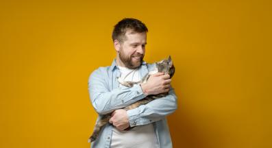 домашна котка и стопанин